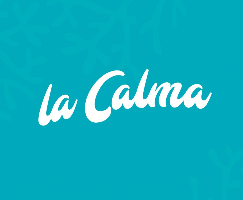 rots in branding portfolio preview rots in branding portfolio la calma diving